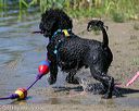 20130824-cwd-0260