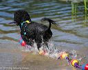 20130824-cwd-0262