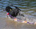 20130824-cwd-0265
