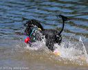 20130824-cwd-0268