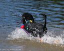 20130824-cwd-0270