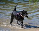 20130824-cwd-0312
