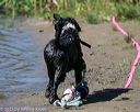20130824-cwd-0315