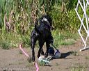 20130824-cwd-0316