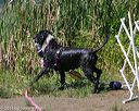 20130824-cwd-0317