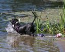20130824-cwd-0320