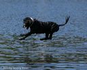 20130824-cwd-0325