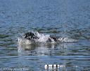 20130824-cwd-0327