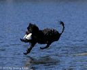 20130824-cwd-0355