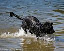 20130824-cwd-0364