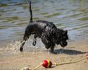 20130824-cwd-0368