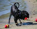 20130824-cwd-0369