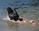 20130824-cwd-0375