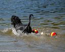 20130824-cwd-0377
