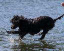 20130824-cwd-0388