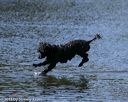 20130824-cwd-0400