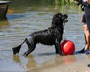20130824-cwd-0412
