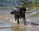 20130824-cwd-0430
