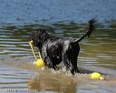 20130824-cwd-0438