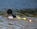 20130824-cwd-0440
