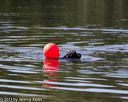20130824-cwd-0463