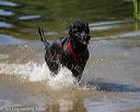 20130824-cwd-0496