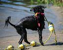 20130824-cwd-0499