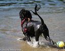20130824-cwd-0501