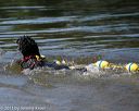 20130824-cwd-0505