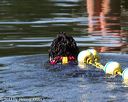 20130824-cwd-0507