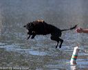 20130824-cwd-0523