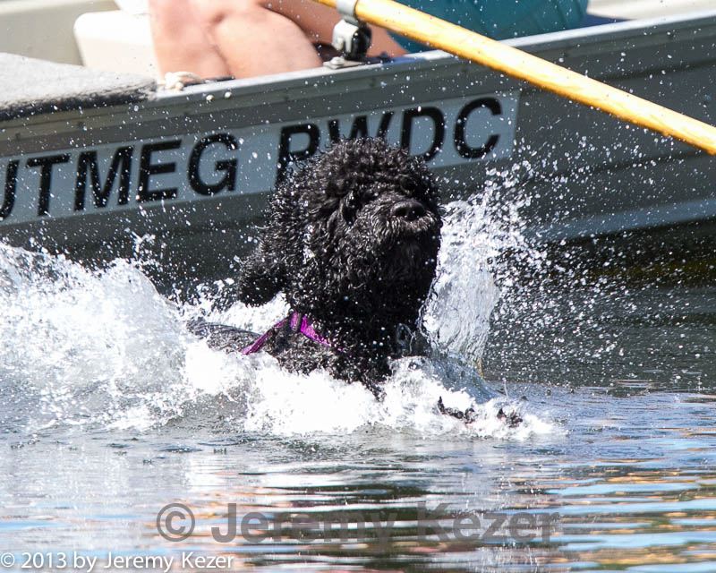20130824-cwd-0021.jpg