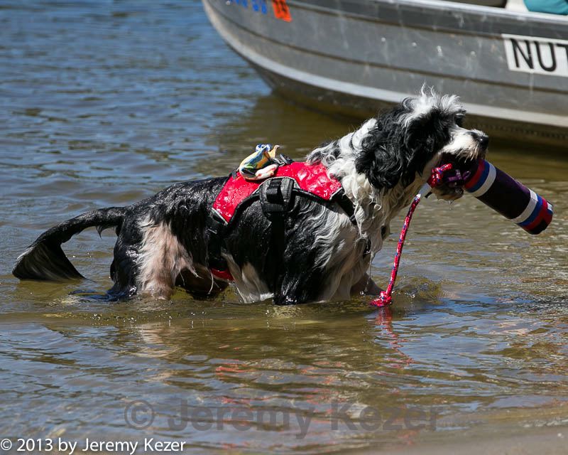 20130824-cwd-0072.jpg