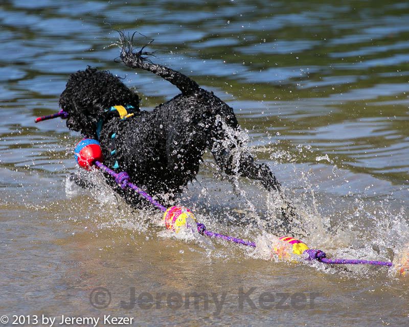 20130824-cwd-0265.jpg