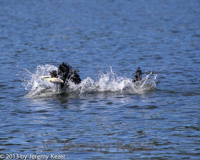 20130824-cwd-0357.jpg