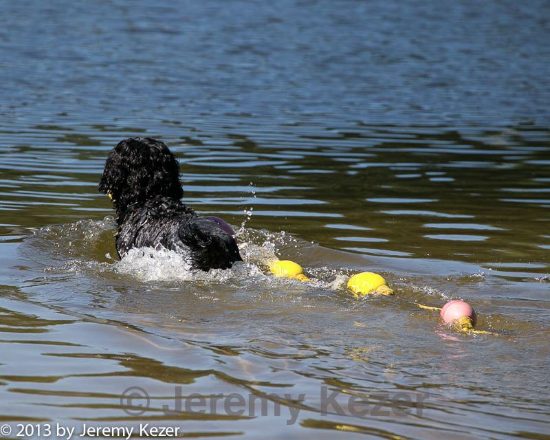 20130824-cwd-0440.jpg