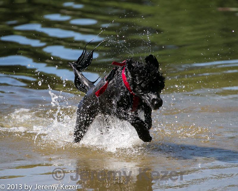 20130824-cwd-0493.jpg