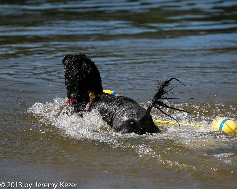20130824-cwd-0504.jpg