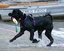 20130824-jwd-0009