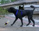 20130824-jwd-0079