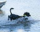 20130824-jwd-0208