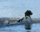 20130824-jwd-0212