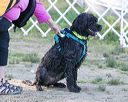 20130824-jwd-0219