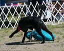 20130824-wwd-0011
