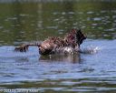 20130824-wwd-0291