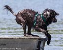 20130824-wwd-0457