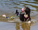 20130825-awd-0181