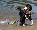 20130825-awd-0188