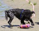 20130825-awd-0263