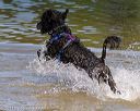 20130825-awd-0302